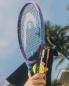 Preview: Head Radical MP Palm Tree Crew 2025